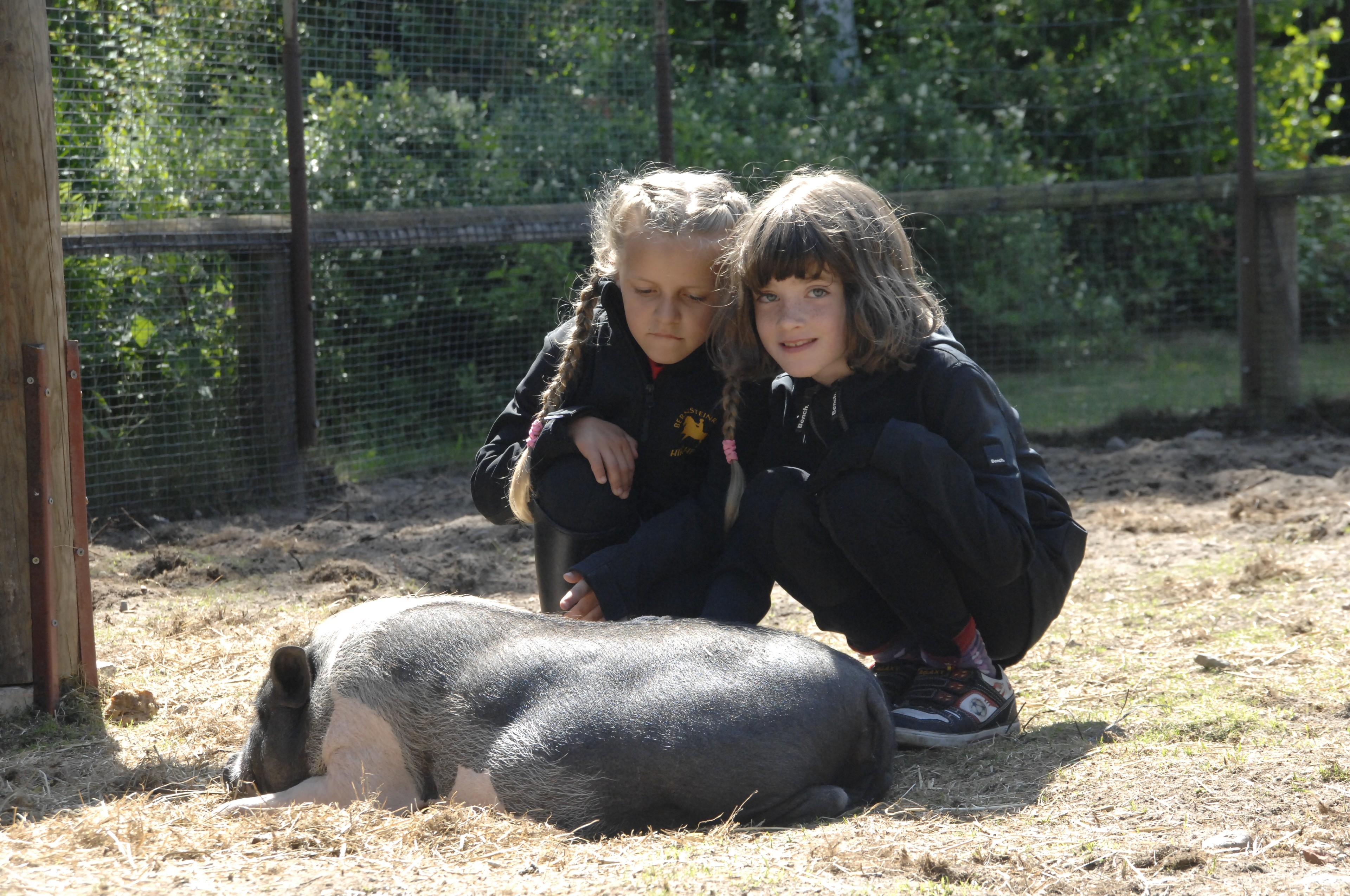 Zwei Kinder sitzen im Streichelzoo neben einem Minischwein