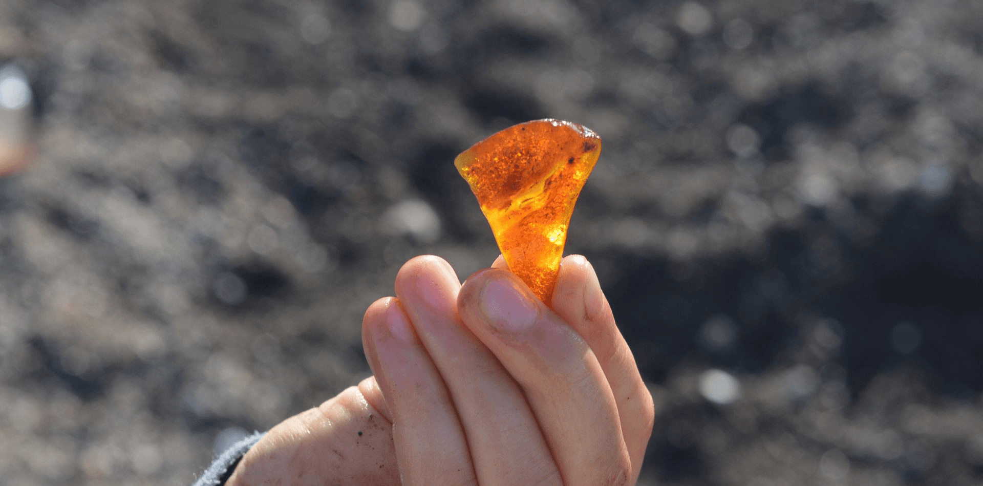 Eine Hand präsentiert ein Stück Bernstein