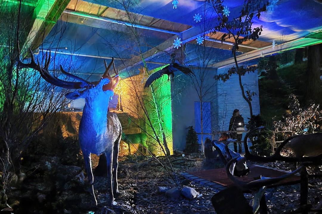 Hirsch mit imposantem Geweih in blau-grün beleuchteter Winterlandschaft mit Schneeflocken-Dekoration, Besucher im Hintergrund