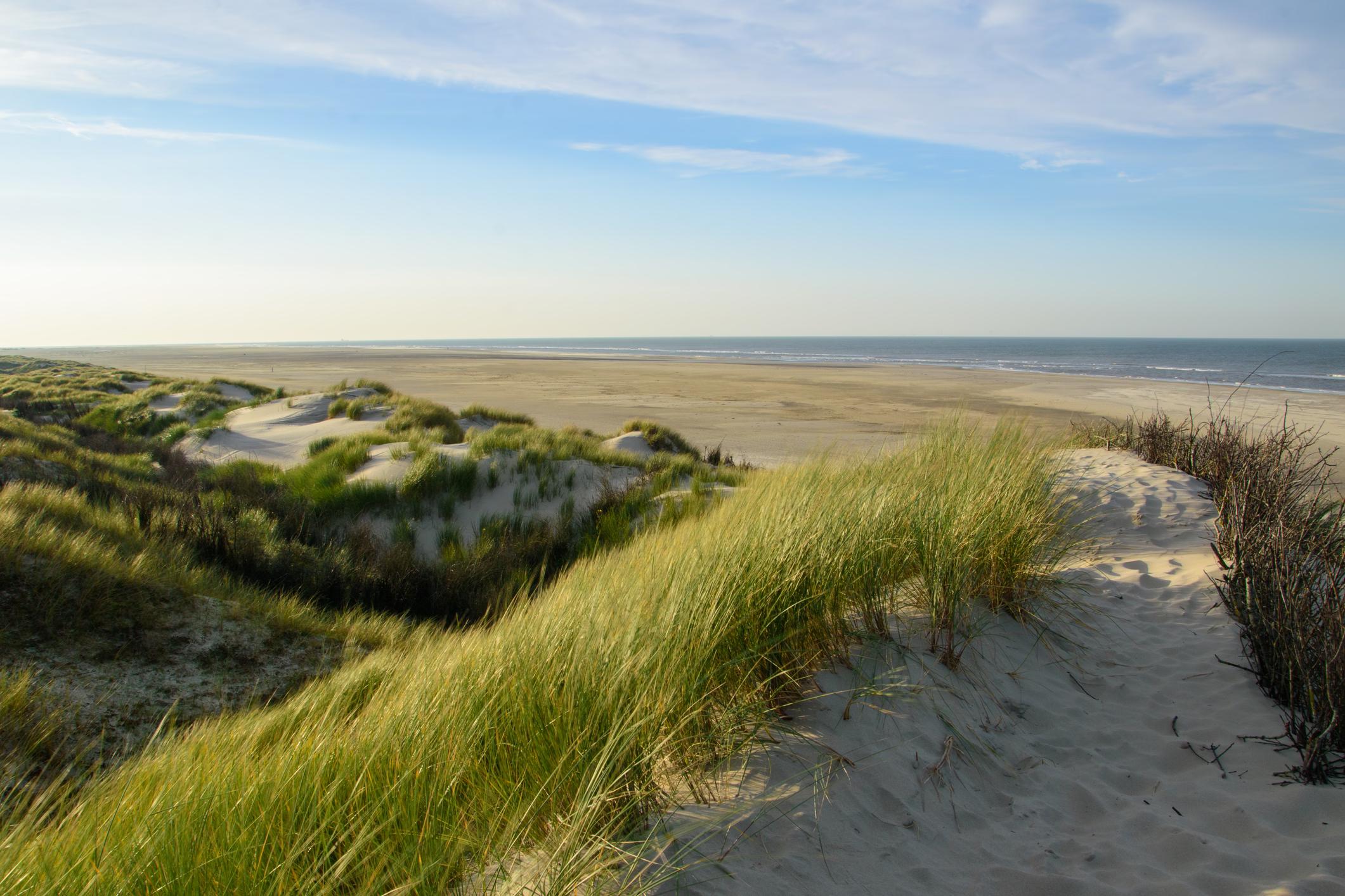 Ostfriesische Insel am Meer