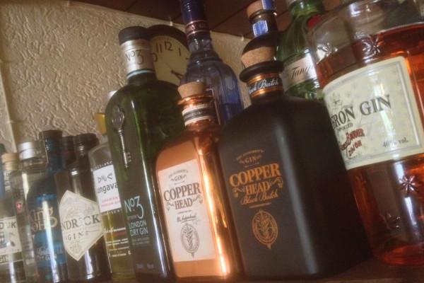 Gin-Tasting in Idstein