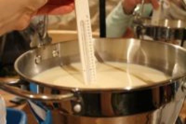 Käse selber machen: Käse-Kurs in Dresden