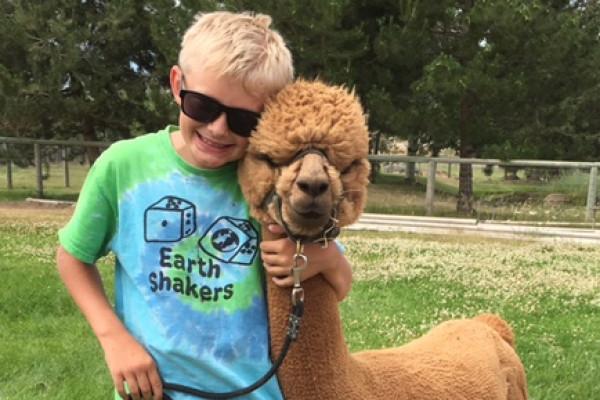 1 Alpakawanderung im Bayerischen Wald bei Cham