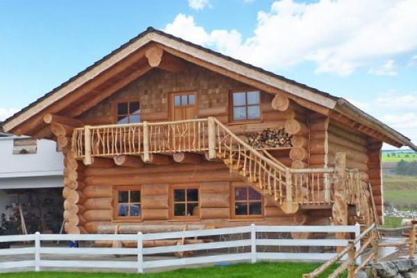 1 Alpakawanderung im Bayerischen Wald bei Cham