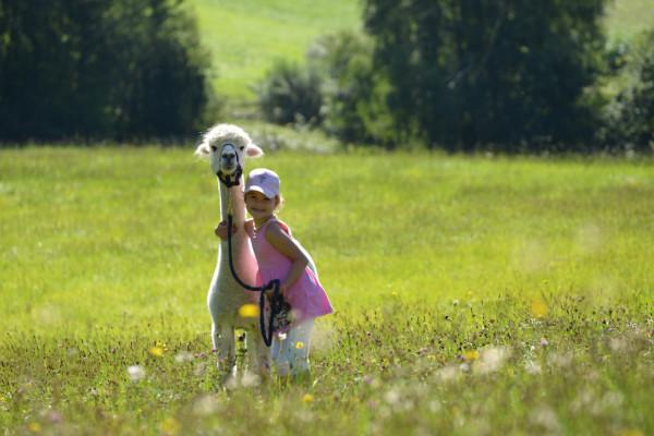 Kinder-Geburtstag “Bronze” Alpaka-Wanderung Iggensbach
