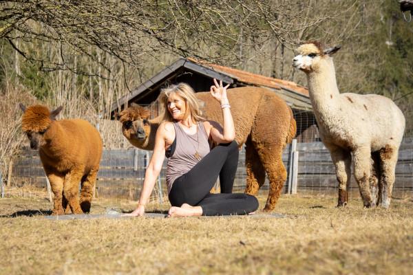 Yoga mit Alpakas im Allgäu – naturnah entschleunigen
