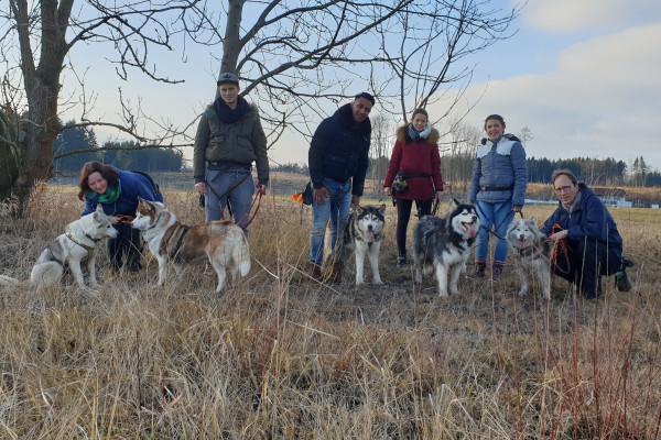 Husky-Wanderung im Unterallgäu 3,50 Std.