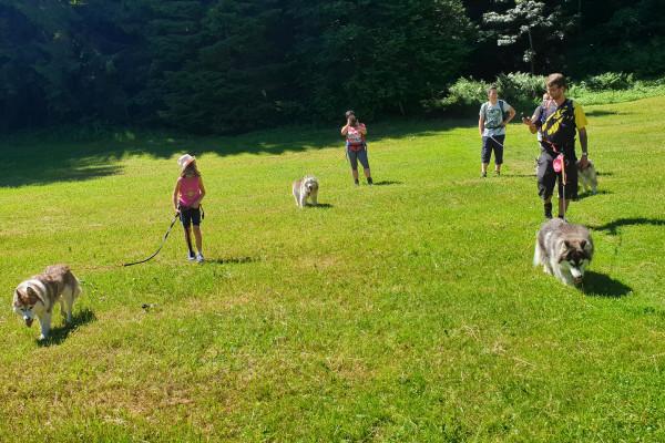 Husky-Wanderung im Unterallgäu 3,50 Std.