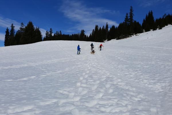 Urlaub bei und mit Huskies