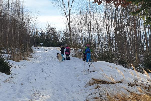 Husky-Wanderung im Unterallgäu 3,50 Std.