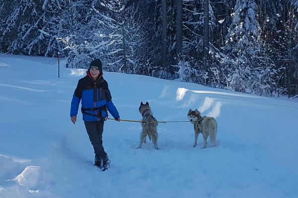 Husky-Wanderung im Unterallgäu 5,0Std