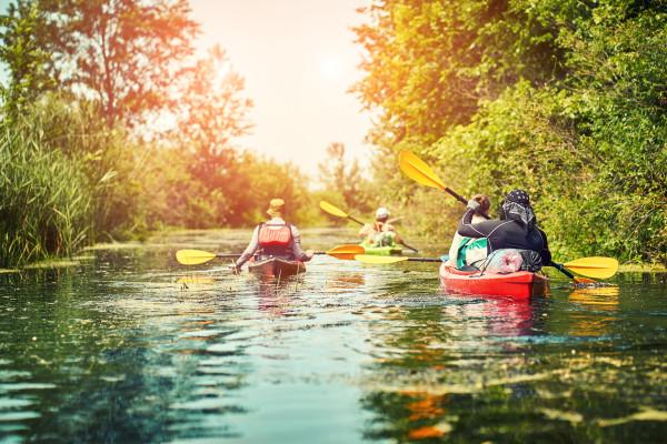 1er Kajak Tour 3h Naturpark Schlei - Ab Scholderup
