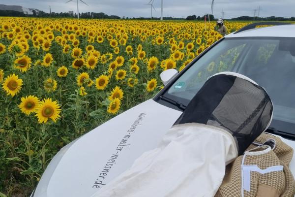 Honig-Verkostung für zwei Personen