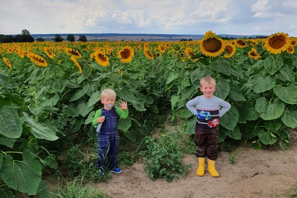Honig-Verkostung für zwei Personen