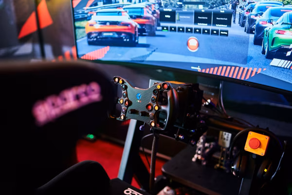 Sim-Racing Simulator