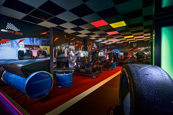 Sim-Racing Simulator