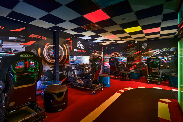 Sim-Racing Simulator