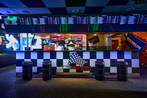 Sim-Racing Simulator