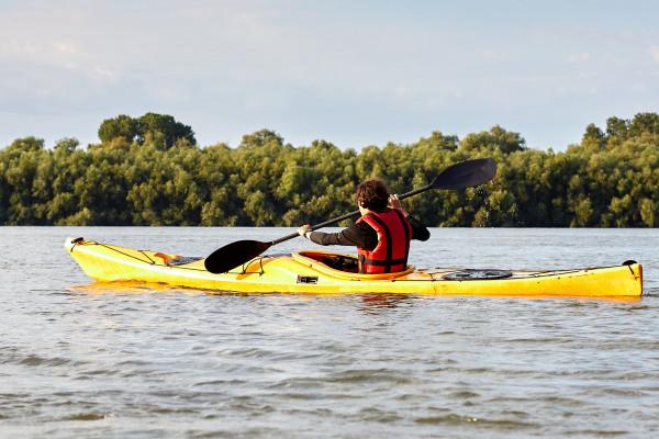 1er Kajak Tour 3h Naturpark Schlei - Ab Scholderup