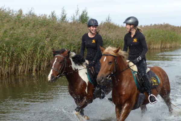Ausritte für Einsteiger durch die Ostseelagunen