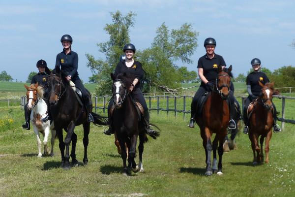Ausritte für Einsteiger durch die Ostseelagunen