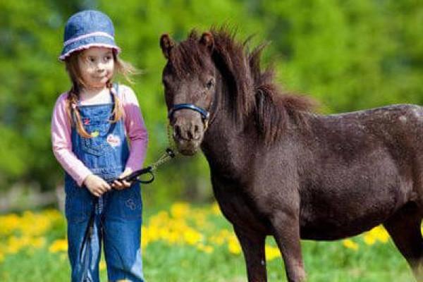 Ponyspaziergang an den Ostseelagunen