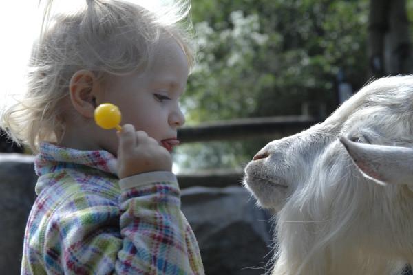Kindertagesbetreuung in Barth