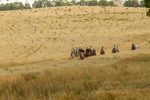 Ausritt durch die Lagunen der Ostsee Schritt-Trab-Galopp