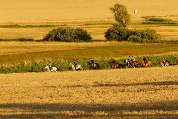 Ausritt durch die Lagunen der Ostsee Schritt-Trab-Galopp