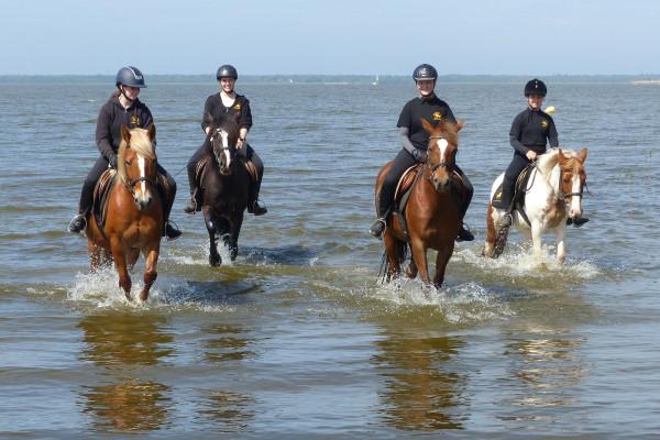 Ausritt durch die Lagunen der Ostsee Schritt-Trab-Galopp