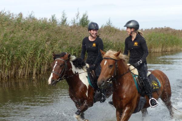 Ausritt durch die Lagunen der Ostsee Schritt-Trab-Galopp