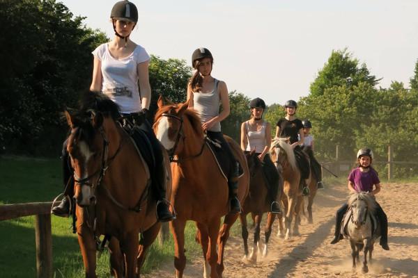 Gruppenunterricht Dressur in Barth