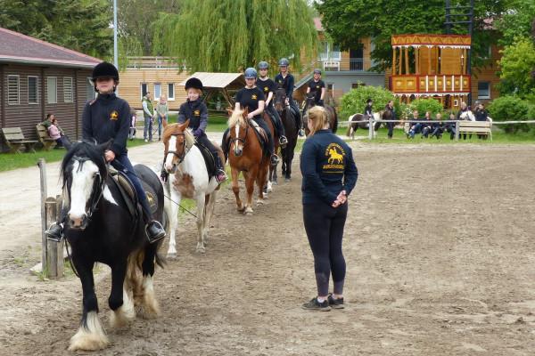 Gruppenunterricht Dressur in Barth