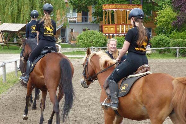 Gruppenunterricht Dressur in Barth