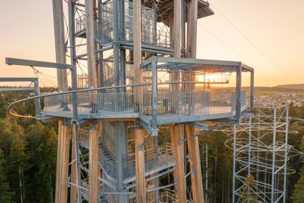 Black Forest Flyline