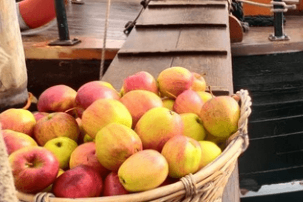 Segeltörn: Apfelfahrt mit der Albin Köbis (9.10.2026)