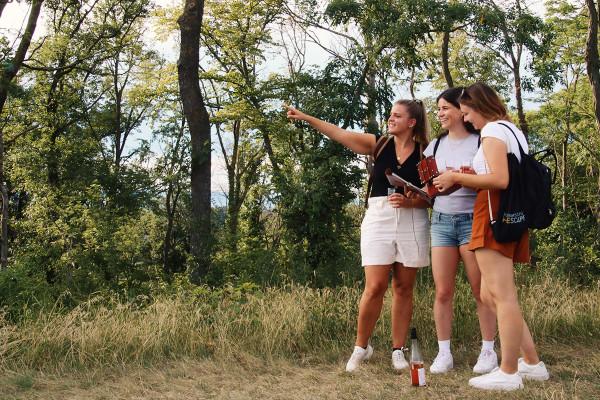 Outdoor-Escape-Abenteuer: In Vino Veritas (Traben-Trarbach)