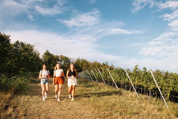Outdoor-Escape-Abenteuer: In Vino Veritas (Traben-Trarbach)