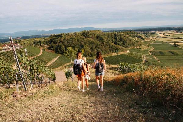 Outdoor-Escape-Abenteuer: In Vino Veritas - Meersburg