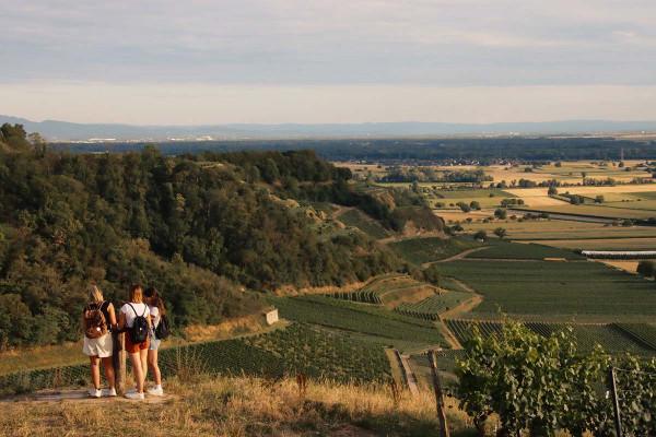 Outdoor-Escape-Abenteuer: In Vino Veritas - Meersburg