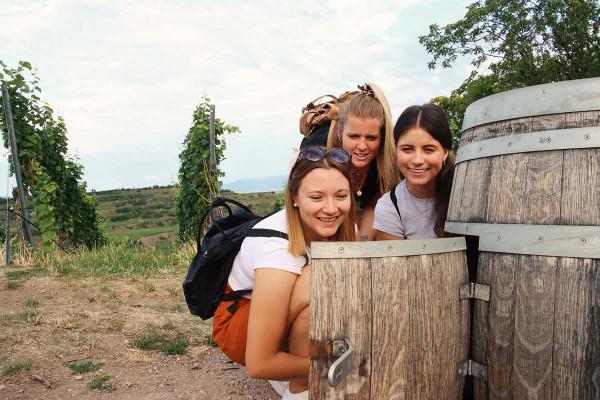 Outdoor-Escape-Abenteuer: In Vino Veritas - Zeil am Main