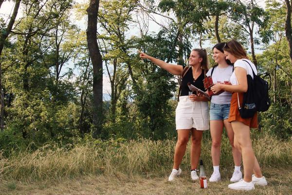 Outdoor-Escape-Abenteuer: In Vino Veritas - Zeil am Main