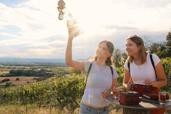 Outdoor-Escape-Abenteuer: In Vino Veritas - Zeil am Main