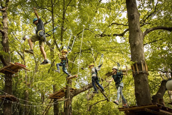 Kletterpark | Kleine Runde (Level 0 & 1, Dauer: 1 Std.)