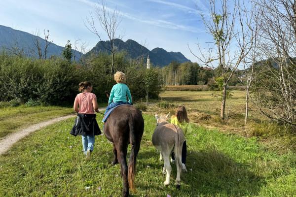 Eselwanderung im Pfrontener Moor