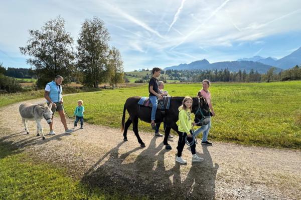 Eselwanderung im Pfrontener Moor