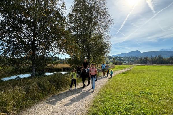 Eselwanderung im Pfrontener Moor