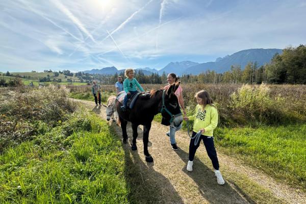 Eselwanderung im Pfrontener Moor