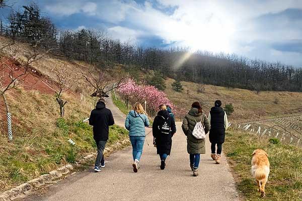 Outdoor-Escape-Abenteuer: Fluch der Meersburg