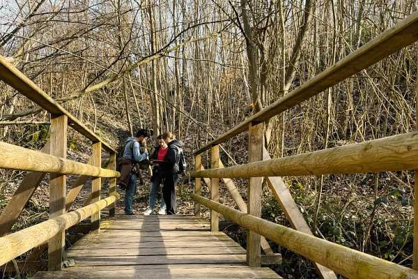 Outdoor-Escape-Abenteuer: Fluch der Meersburg